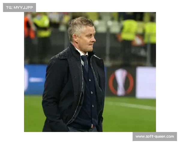 霍芬海姆队长许布纳因伤病困扰无奈挂靴