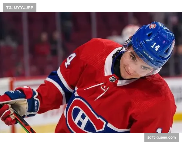 新秀观察：本年度NHL选秀热门人选在各大青年联赛的数据表现